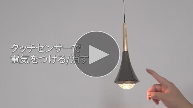 ペンさん専用　レールランプ Amazon.co.jp : ムーラ ペンダントライト ダクトレール専用 E26